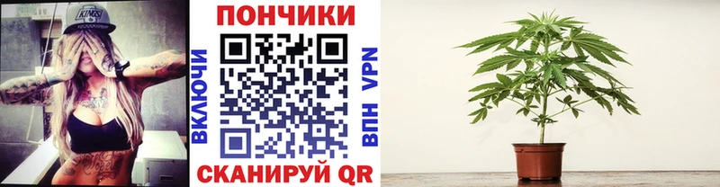 Где купить Каргополь СОЛЬ  Меф мяу мяу  ГАШ  COCAIN 