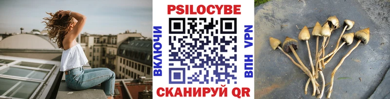 Псилоцибиновые грибы Magic Shrooms  blacksprut ССЫЛКА  Каргополь 