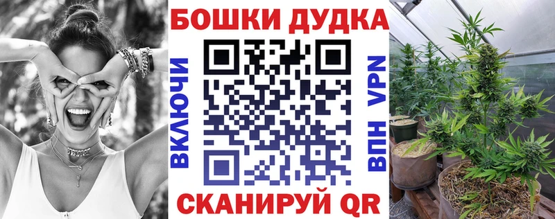 Канабис семена  купить закладку  Каргополь 